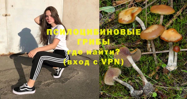PSILOCYBIN Нея