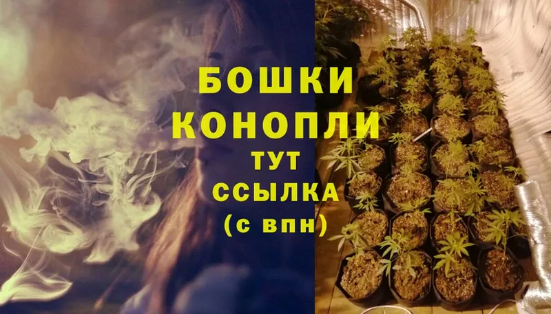 Канабис SATIVA & INDICA  как найти   Инза 